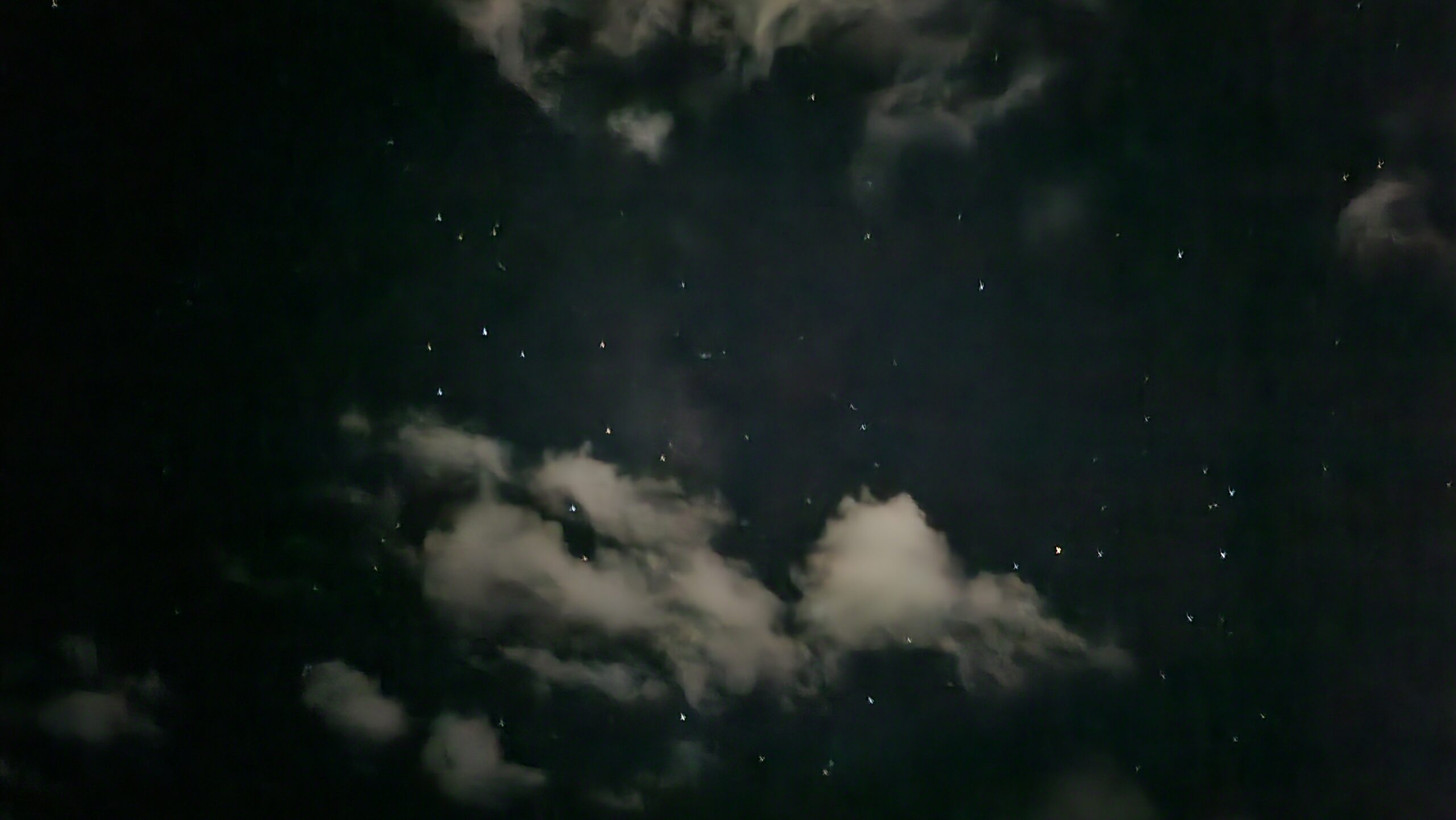 石垣島一人旅Day3「星空とお土産」