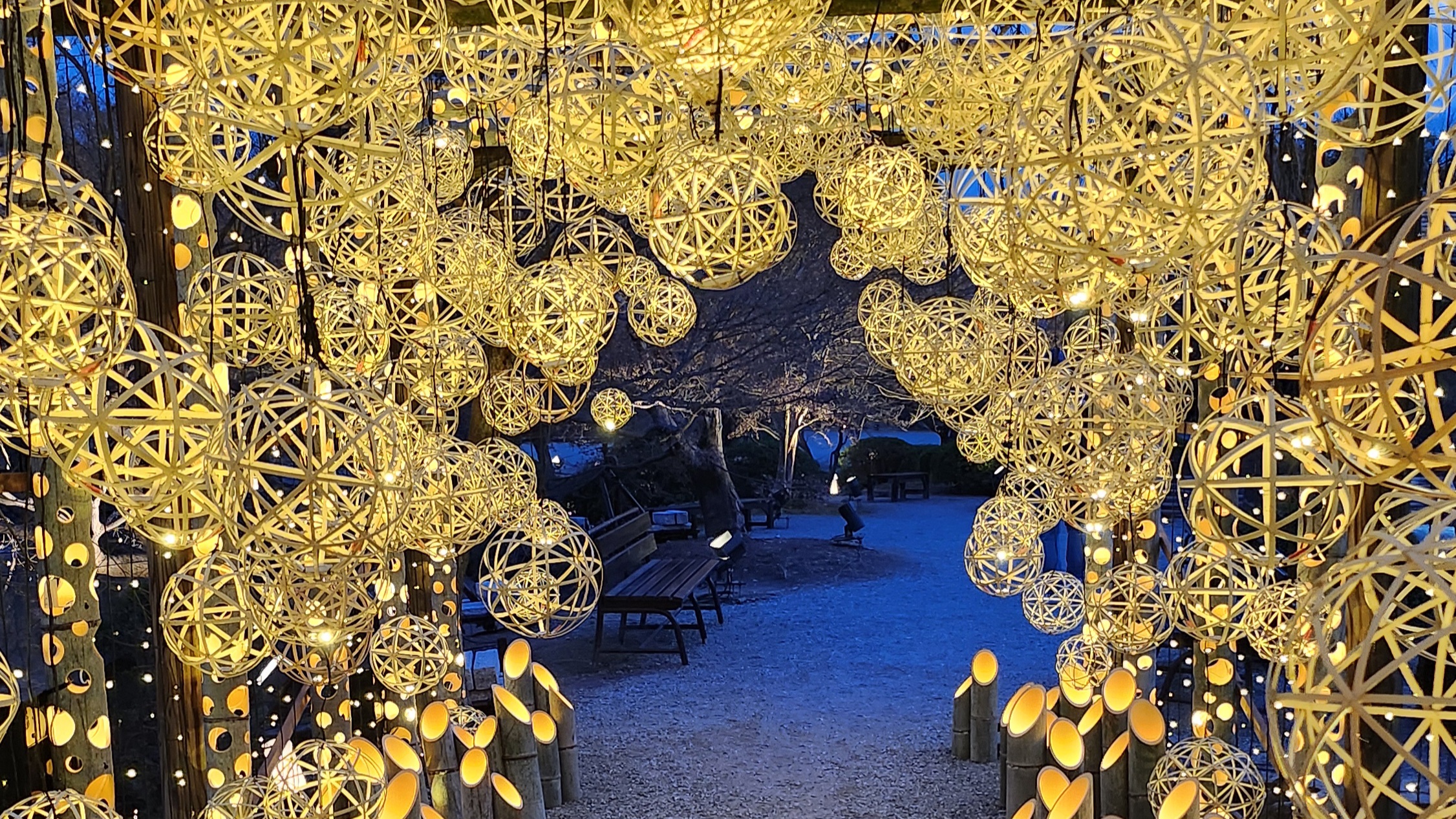 東寺「月回廊」～常闇の月に浮かぶ塔～